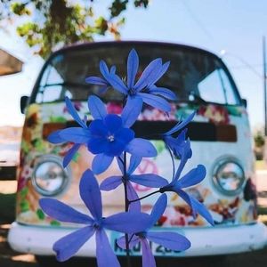 Meet your Posher, Isamikamy